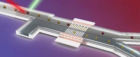 Our Microfluidic Platform